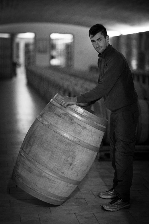 Il Roncal Wine Resort - For Wine Lovers Cividale del Friuli Екстериор снимка