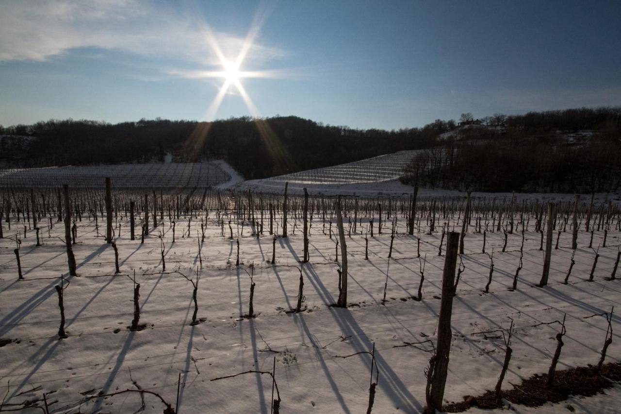 Il Roncal Wine Resort - For Wine Lovers Cividale del Friuli Екстериор снимка