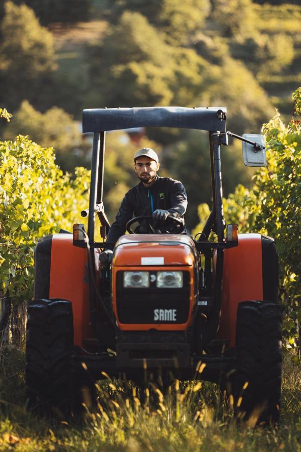 Il Roncal Wine Resort - For Wine Lovers Cividale del Friuli Екстериор снимка