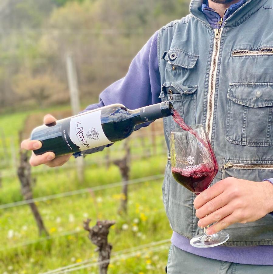 Il Roncal Wine Resort - For Wine Lovers Cividale del Friuli Екстериор снимка