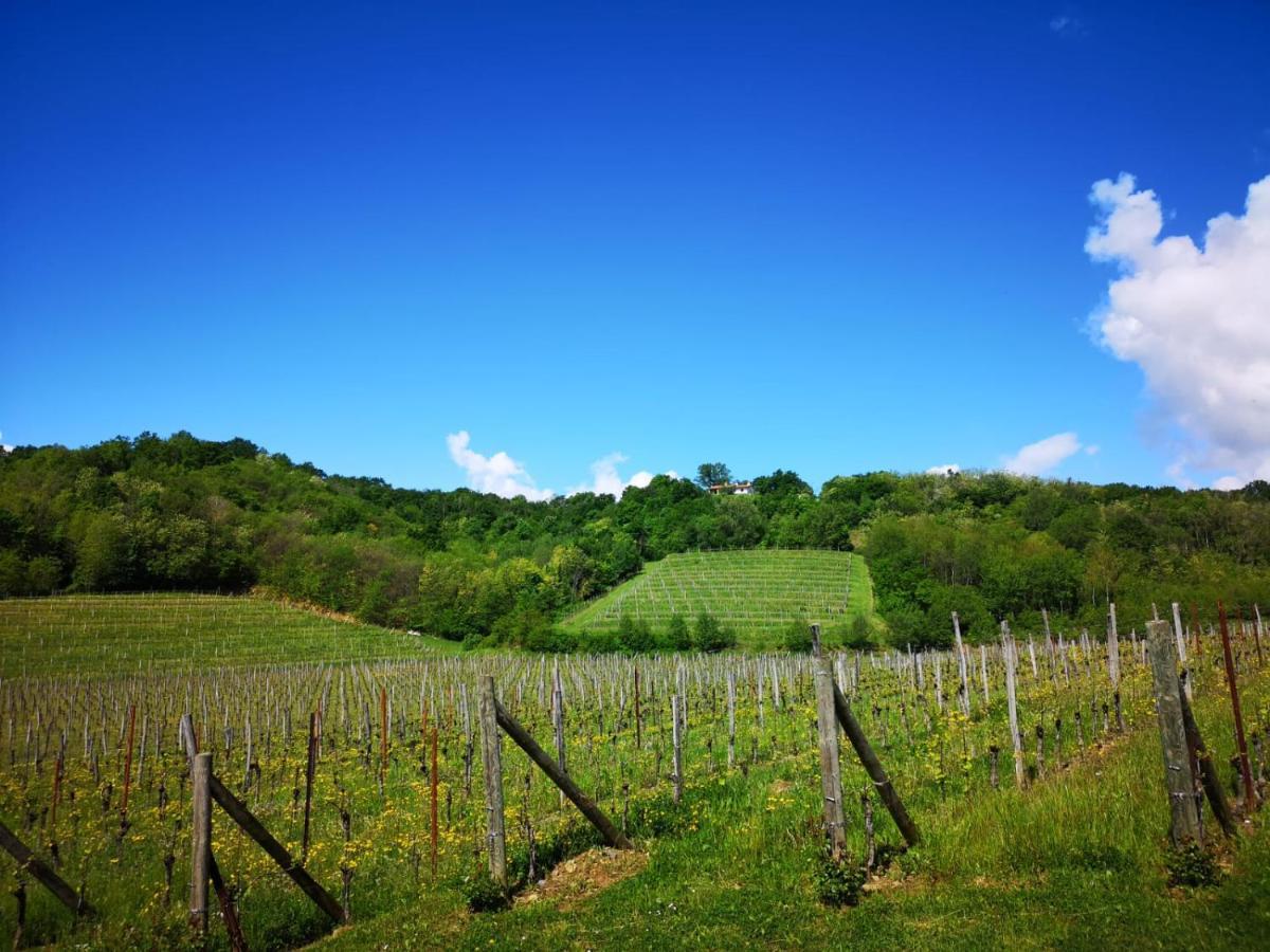 Il Roncal Wine Resort - For Wine Lovers Cividale del Friuli Екстериор снимка