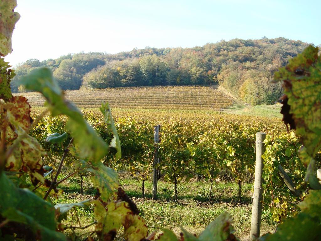 Il Roncal Wine Resort - For Wine Lovers Cividale del Friuli Екстериор снимка