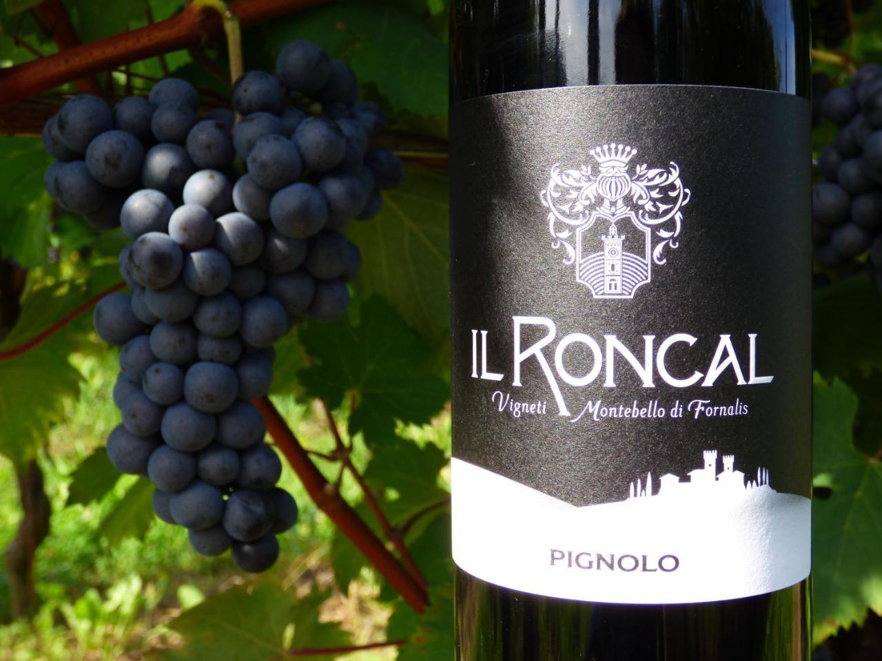 Il Roncal Wine Resort - For Wine Lovers Cividale del Friuli Екстериор снимка